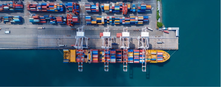 Freight Forwarding Software: What to Look For