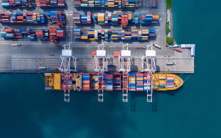 Freight Forwarding Software: What to Look For