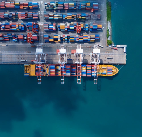 Freight Forwarding Software: What to Look For