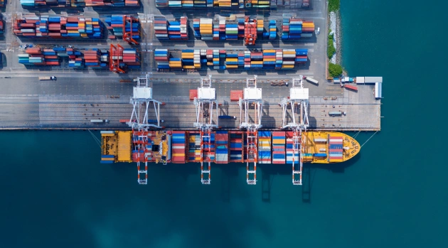 Freight Forwarding Software: What to Look For